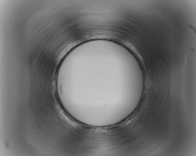 X0000102530890200808081050