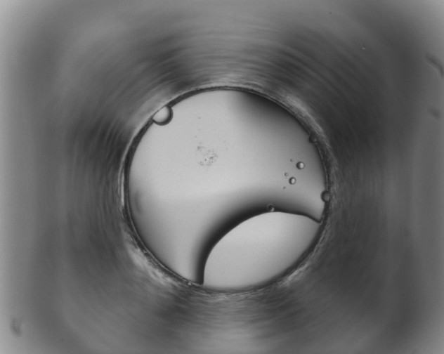 X0000102530892200808081050