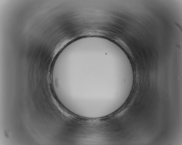 X0000102530893200808081050
