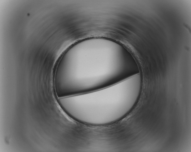 X0000102530894200808081050