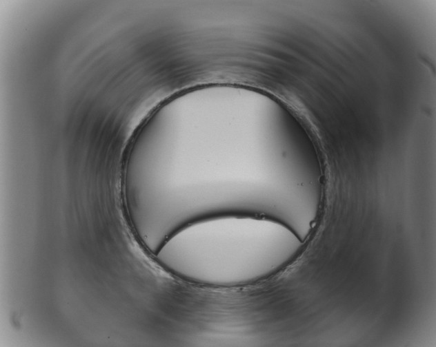 X0000102530896200808081050