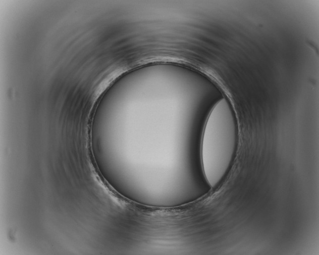 X0000102530898200808081050