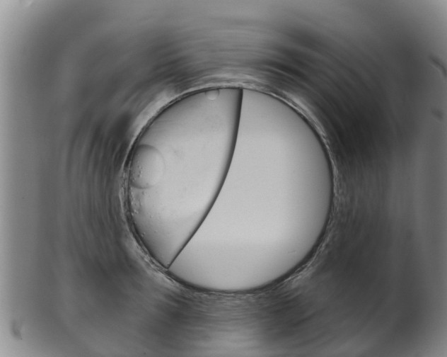 X0000102530899200808081050