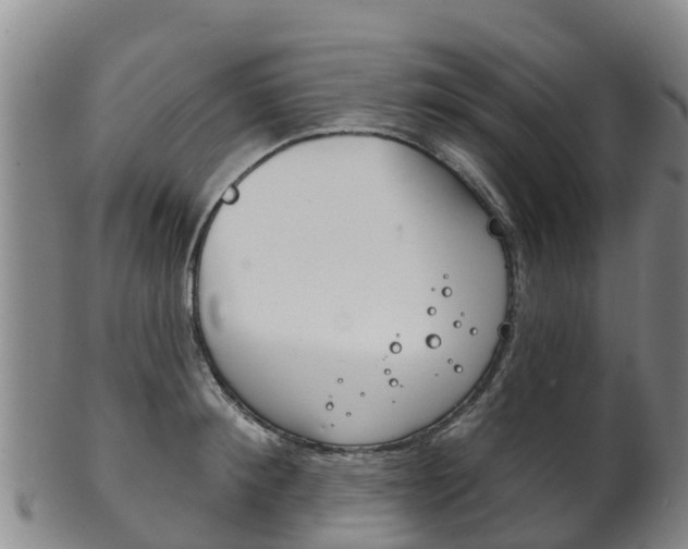X0000102530900200808081050