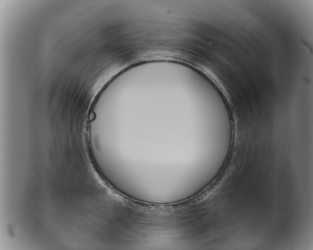 X0000102530901200808081050