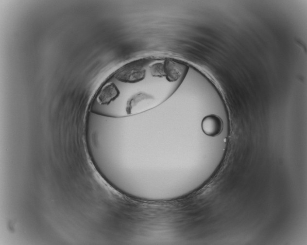 X0000102530903200808081050