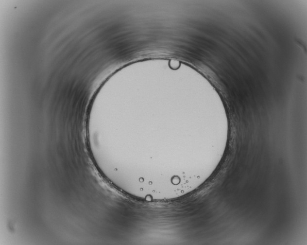 X0000102530904200808081050