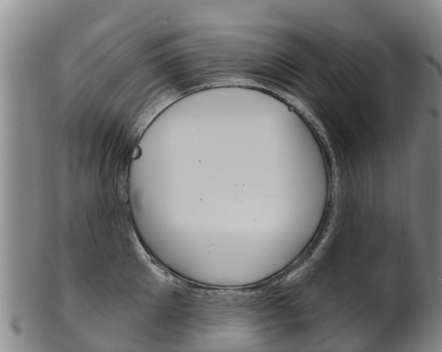 X0000102530905200808081050