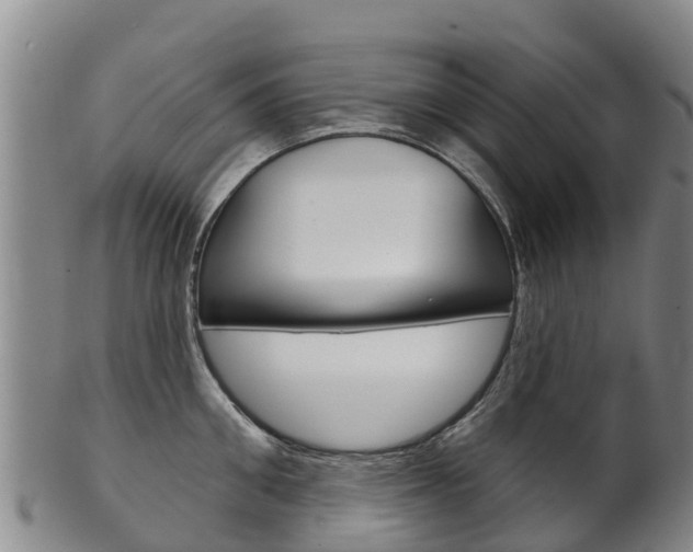 X0000102530906200808081049