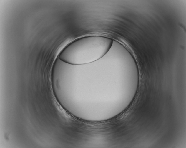 X0000102530907200808081049
