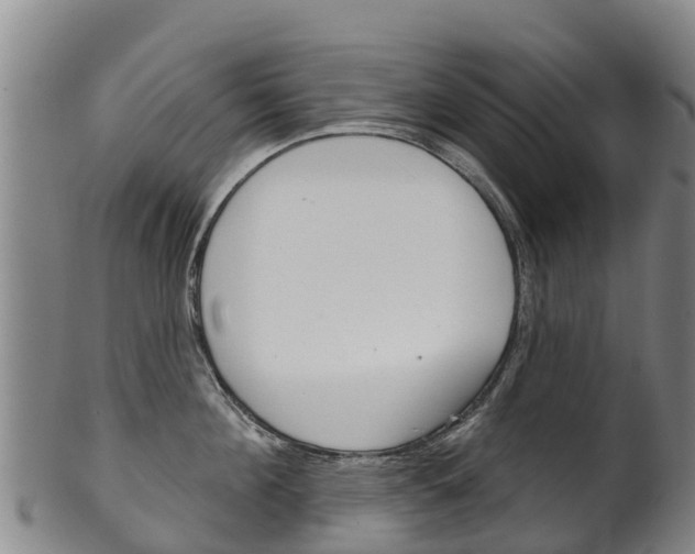 X0000102530908200808081049