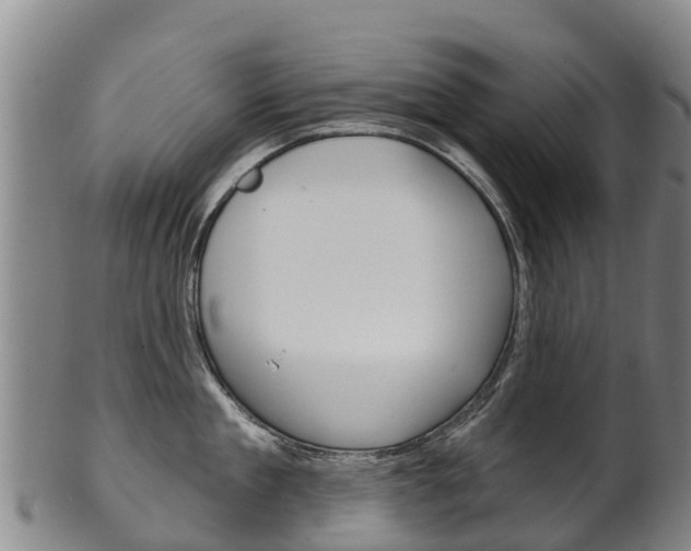 X0000102530909200808081049