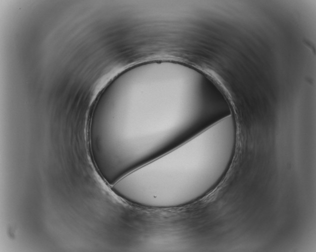 X0000102530910200808081049