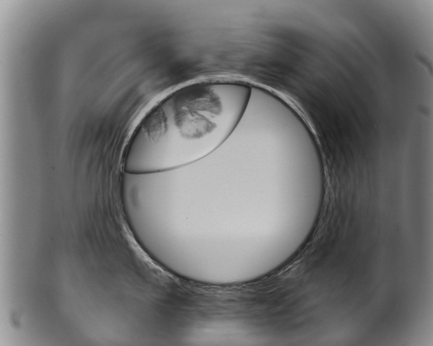X0000102530911200808081049