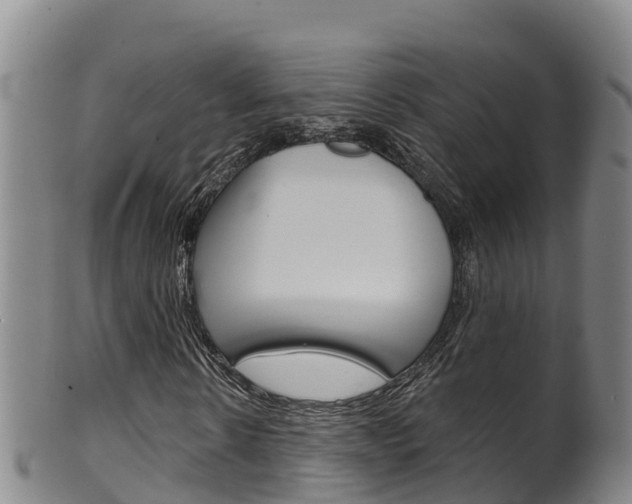 X0000102530914200808081049