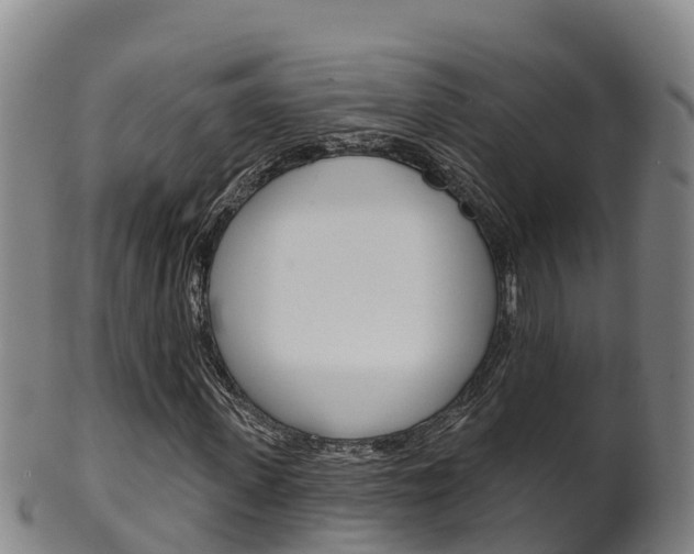 X0000102530915200808081049