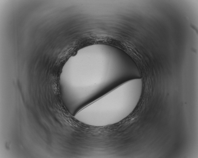 X0000102530916200808081049