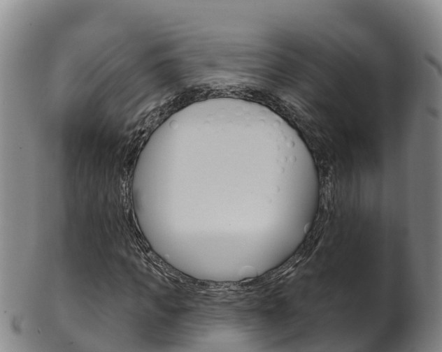 X0000102530917200808081049