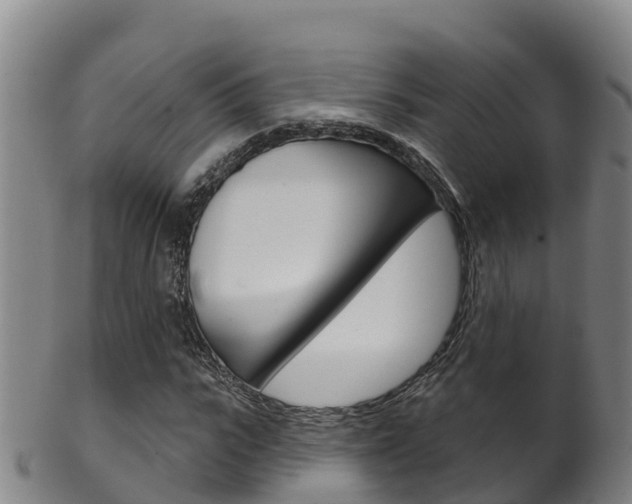 X0000102530919200808081049