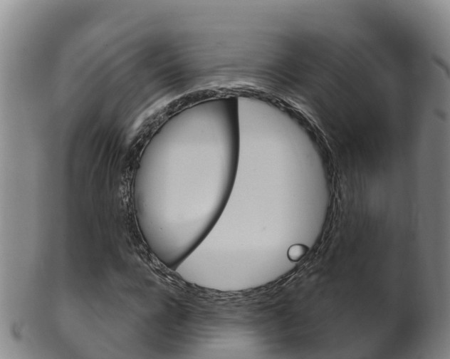 X0000102530920200808081049