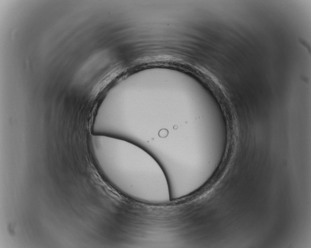 X0000102530921200808081049