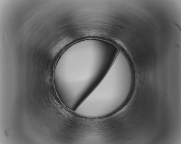 X0000102530922200808081049