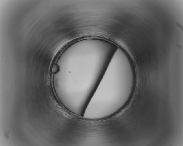 X0000102530924200808081049