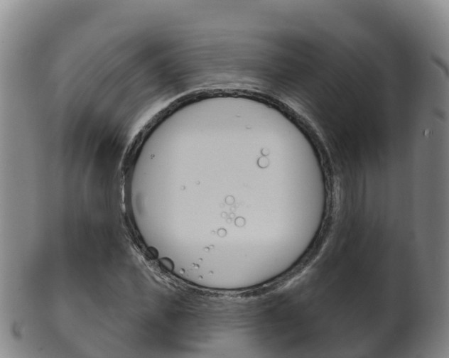 X0000102530925200808081049