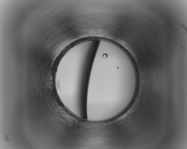 X0000102530926200808081049