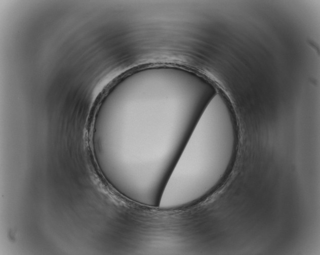 X0000102530928200808081049