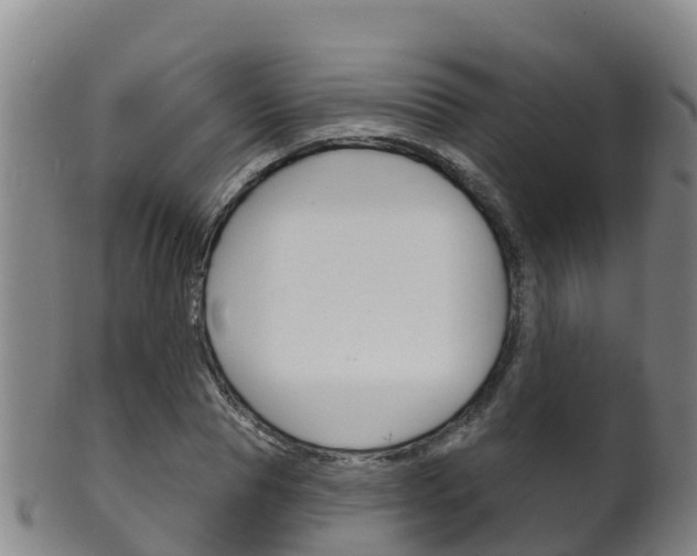 X0000102530929200808081049
