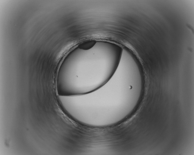 X0000102530930200808081049