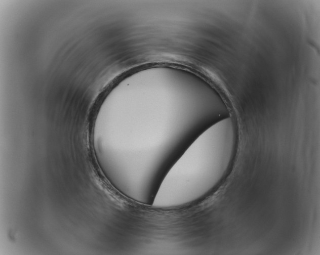 X0000102530931200808081049