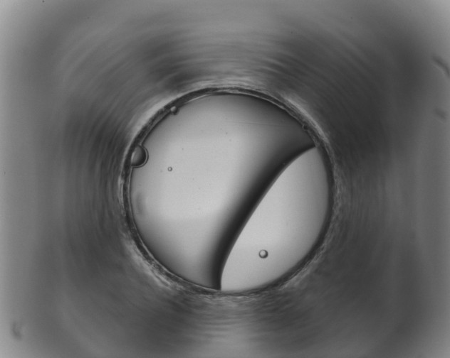 X0000102530932200808081049