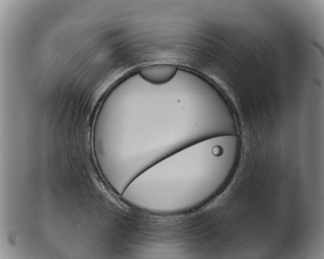 X0000102530933200808081049