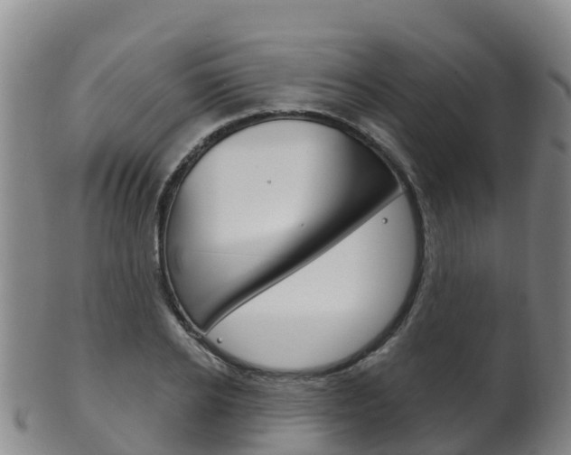 X0000102530934200808081049