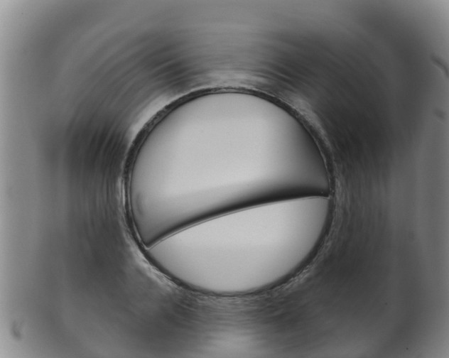 X0000102530936200808081049