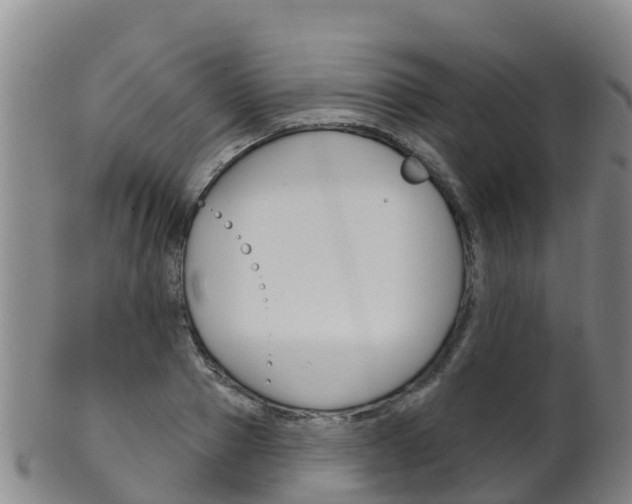 X0000102530937200808081049