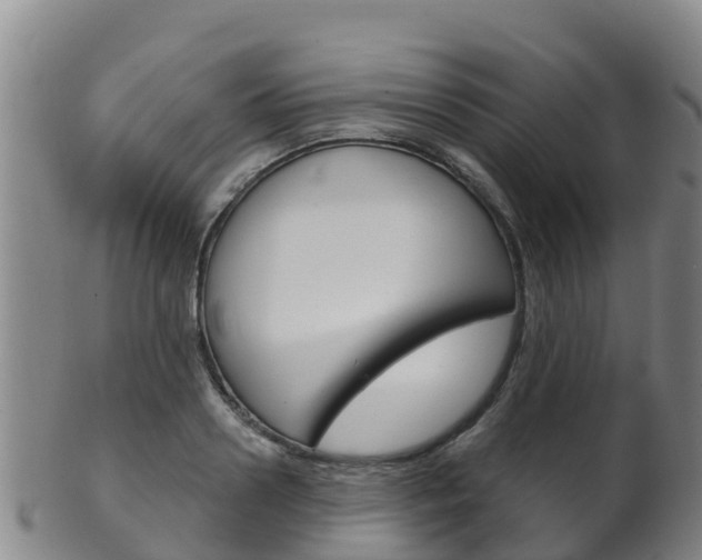 X0000102530938200808081049