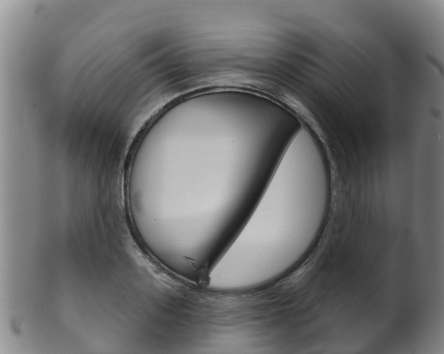 X0000102530939200808081049