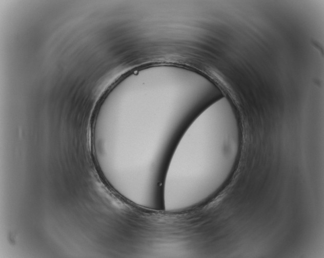 X0000102530940200808081049
