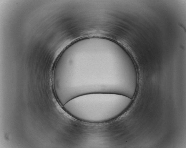 X0000102530941200808081049
