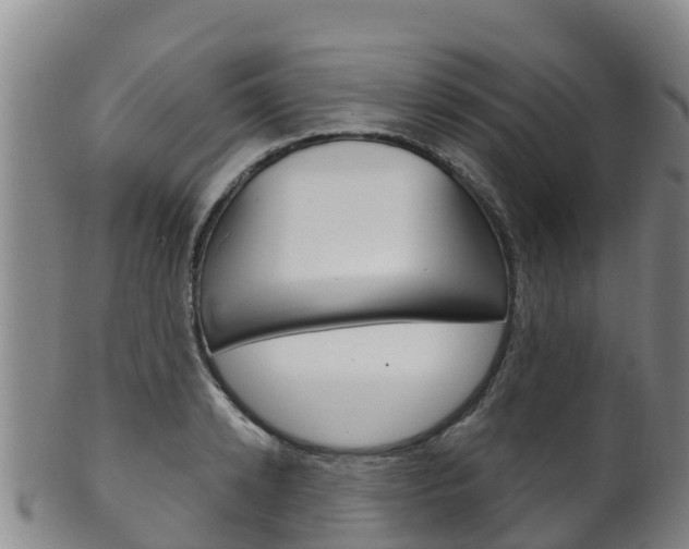 X0000102530942200808081049