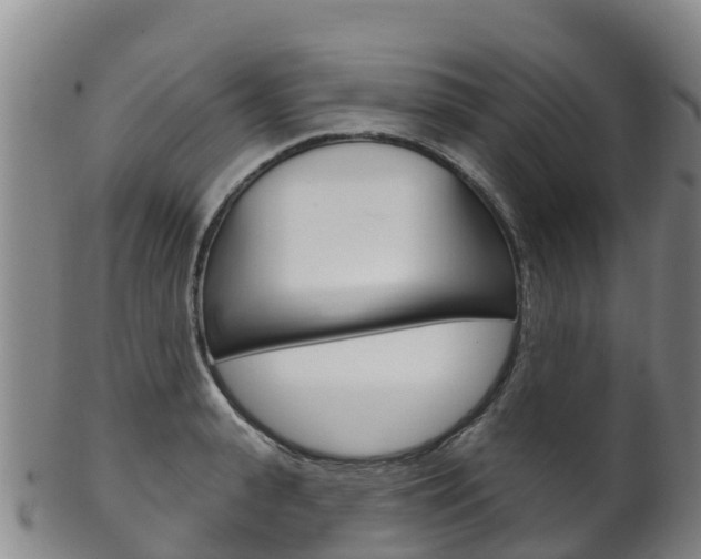 X0000102530943200808081049