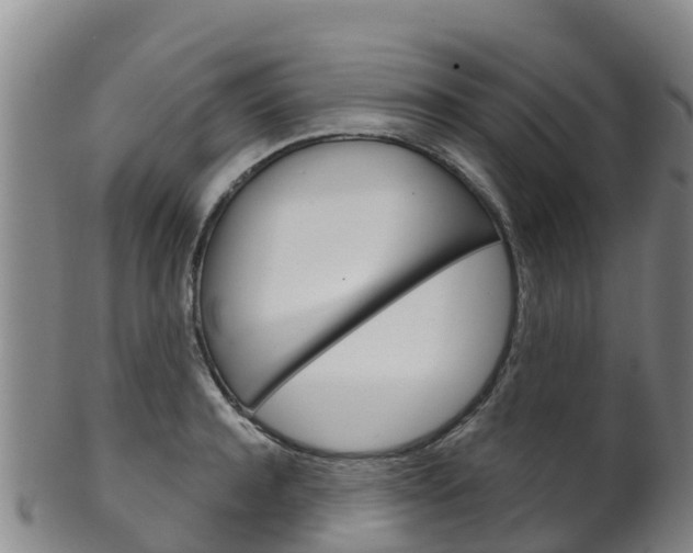 X0000102530944200808081049