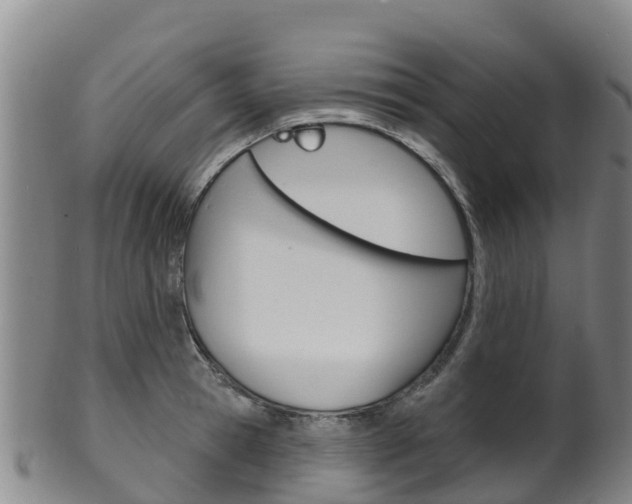 X0000102530945200808081049