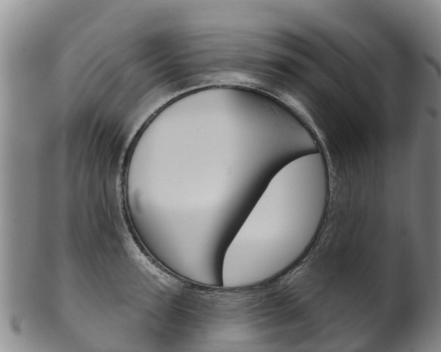 X0000102530947200808081049
