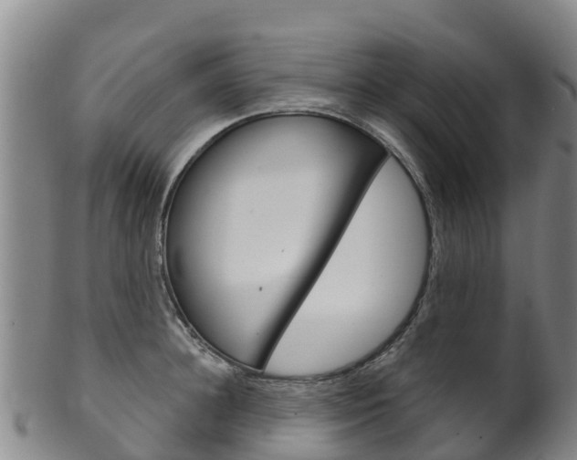 X0000102530948200808081049