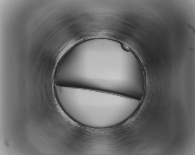 X0000102530949200808081049