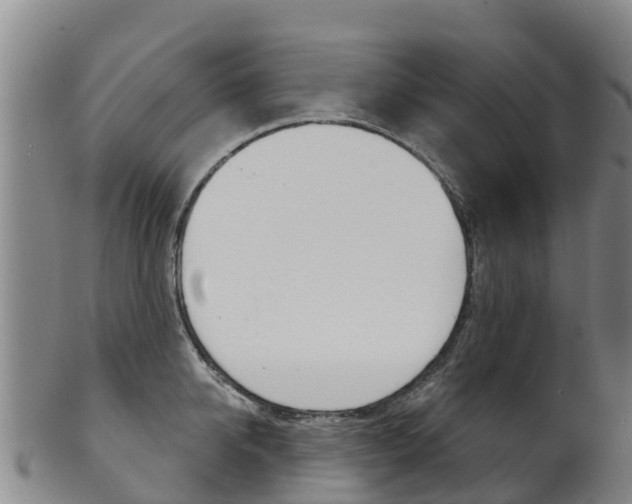 X0000102530950200808081049